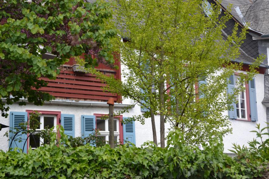 Denkmalgerechte Holzfenster für Fachwerkhaus in Oestrich-Winkel